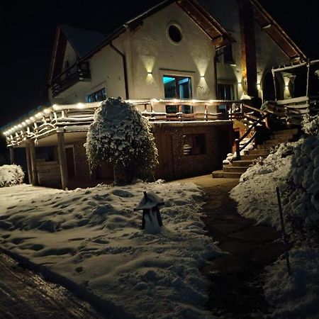 Vis Pension Viile Satu Mare Екстер'єр фото