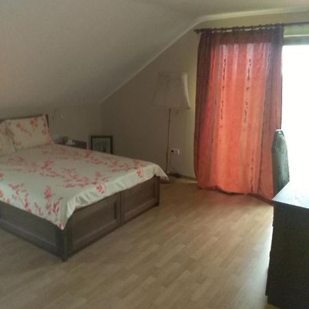 Vis Pension Viile Satu Mare Екстер'єр фото