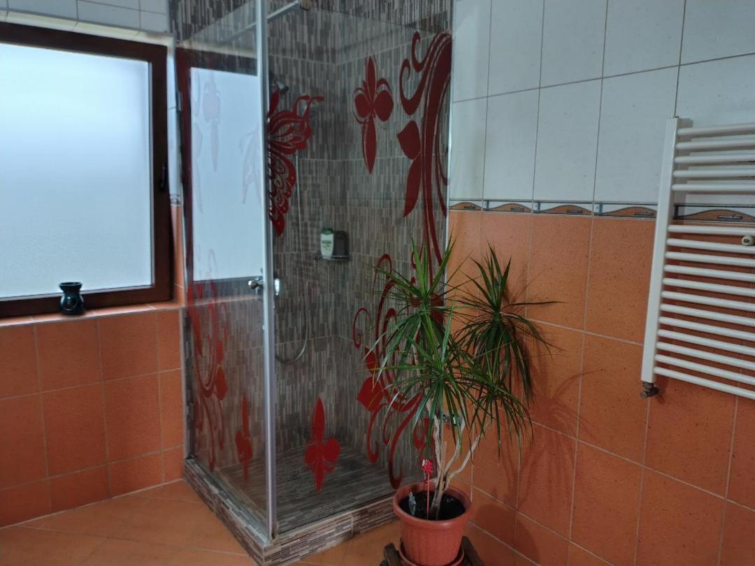 Vis Pension Viile Satu Mare Екстер'єр фото