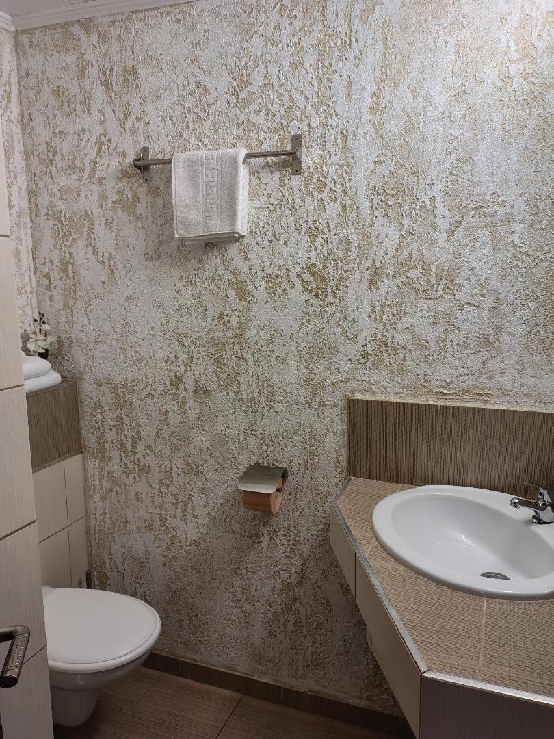 Vis Pension Viile Satu Mare Екстер'єр фото