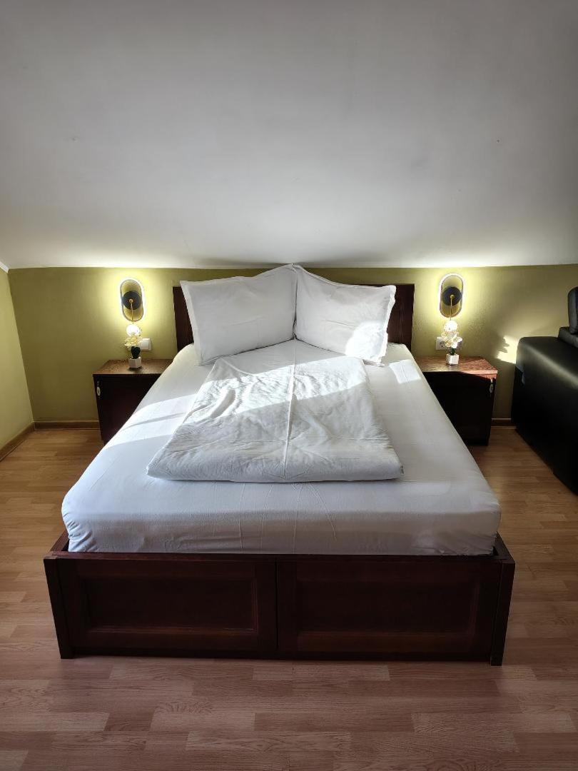 Vis Pension Viile Satu Mare Екстер'єр фото