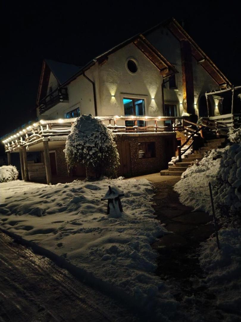 Vis Pension Viile Satu Mare Екстер'єр фото