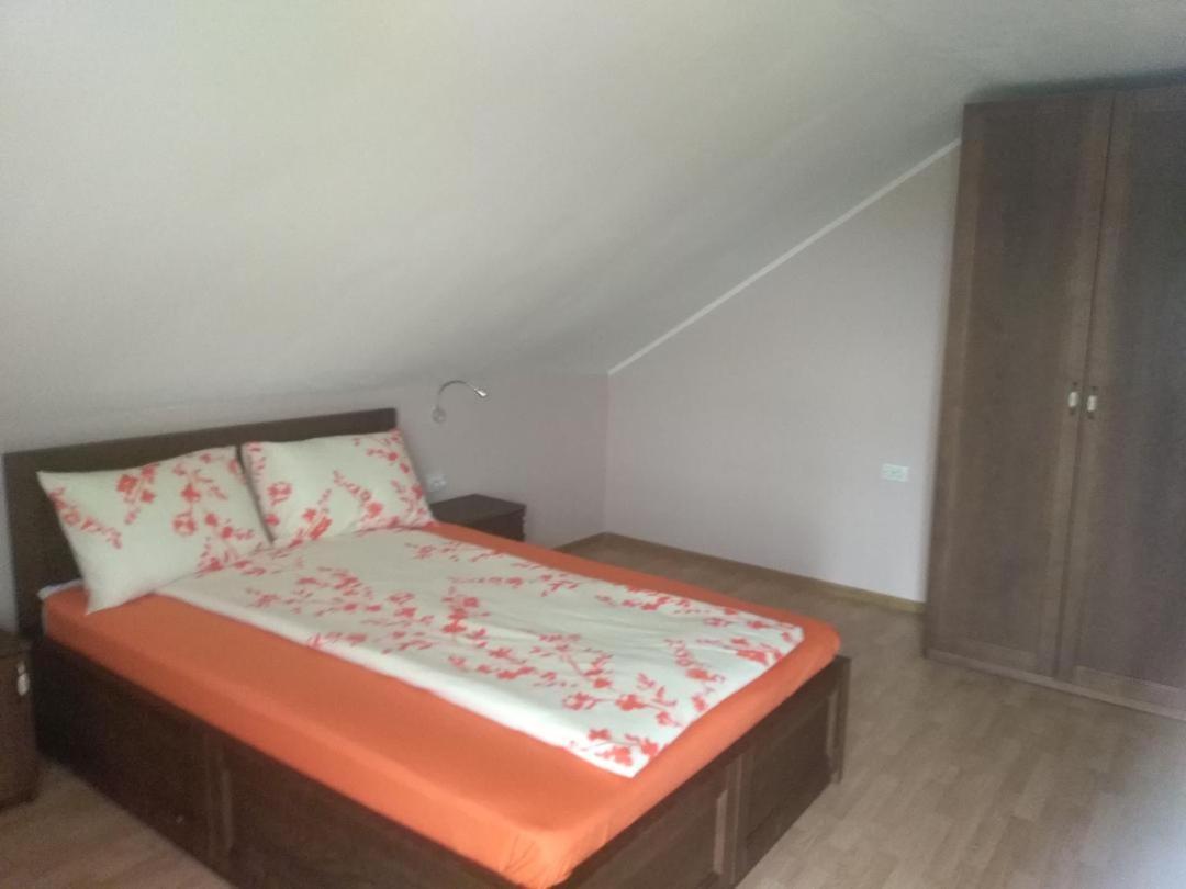 Vis Pension Viile Satu Mare Екстер'єр фото