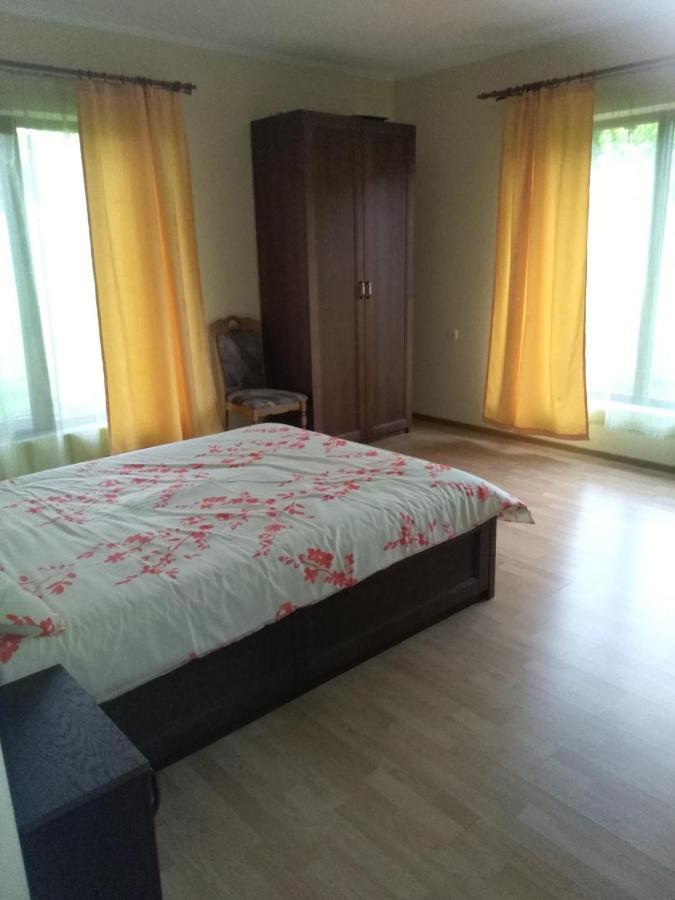 Vis Pension Viile Satu Mare Екстер'єр фото