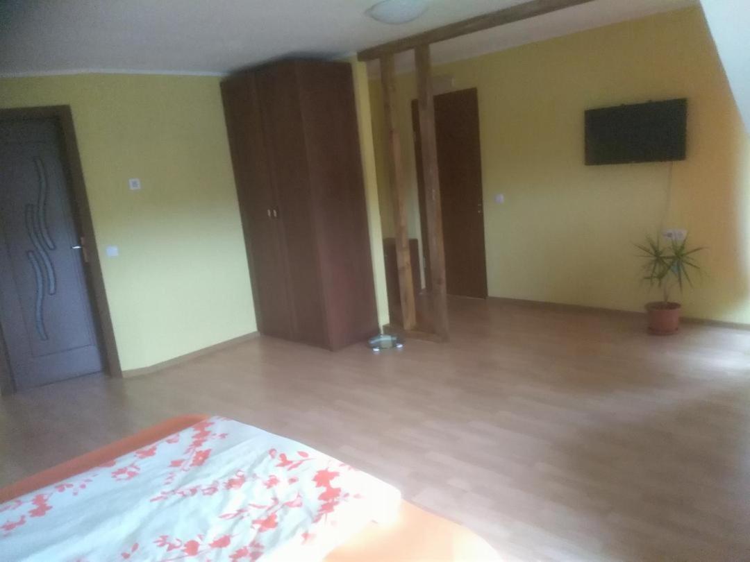 Vis Pension Viile Satu Mare Екстер'єр фото