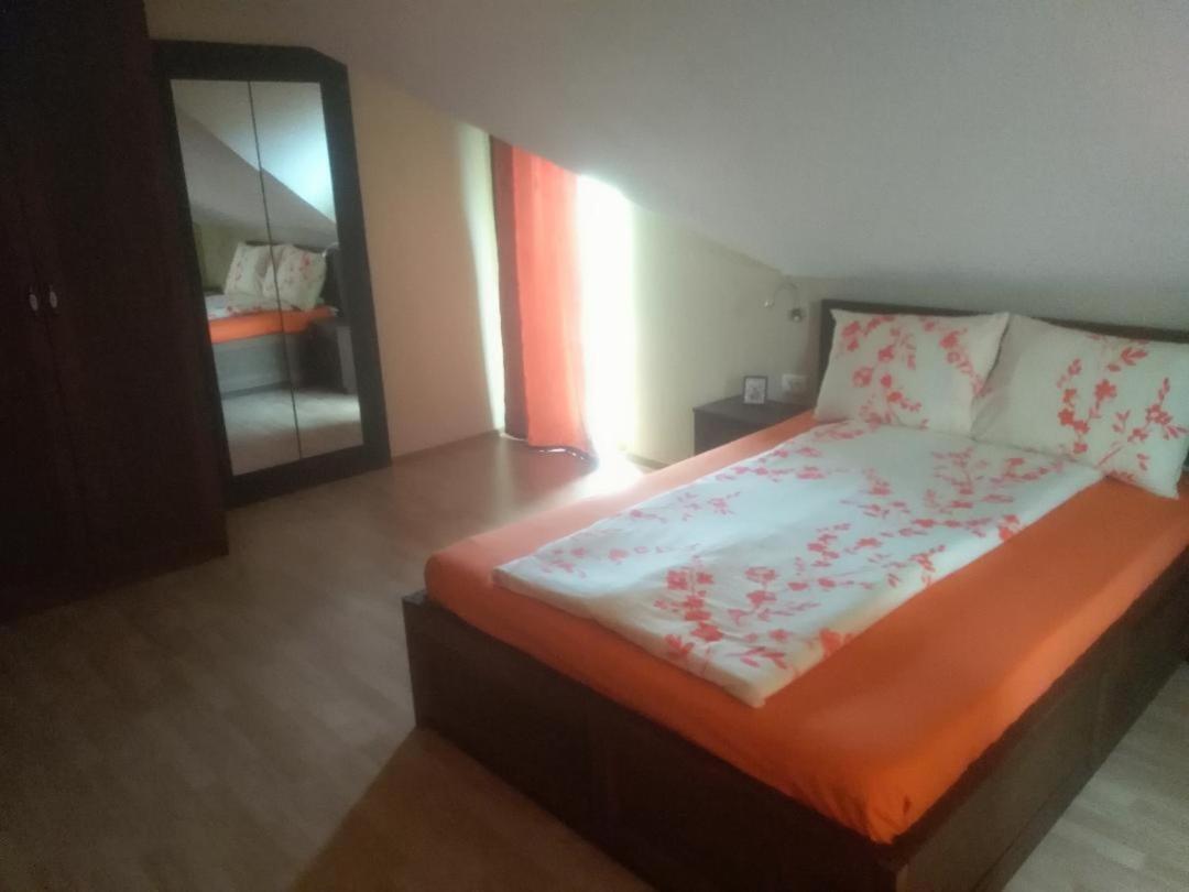 Vis Pension Viile Satu Mare Екстер'єр фото